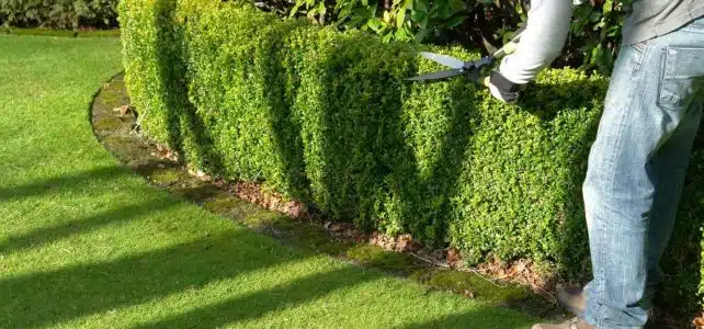 Un paysagiste pour la création de jardin sur mesure